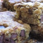 Moist & Chewy Low Fat Oatmeal Chocolate Chip Cookie Bars