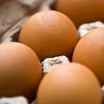 Eggs and Protein