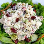 Chicken Salad with Celery Apples and Cranberries