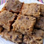 Low Fat Banana Chocolate Chip Bars