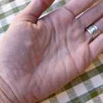 Palm of Hand