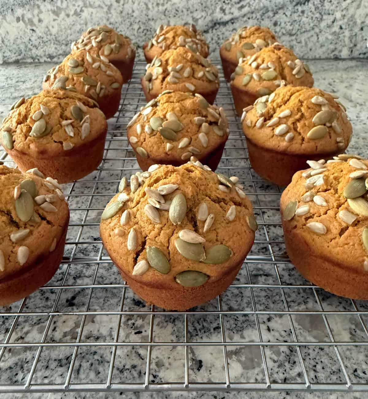 Fresh baked pumpkin muffins cooling on wire rack.