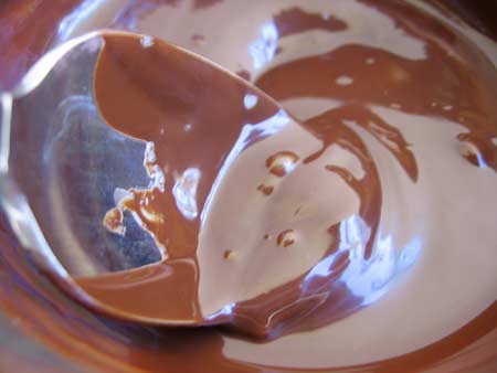 Spoon Dipped in Melted Chocolate