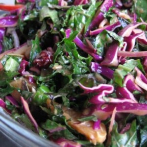 Weight Watchers Dinosaur (Lacinto) Kale Salad