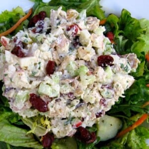 Healthy Chicken Salad with Apples and Cranberries bed of greens from above