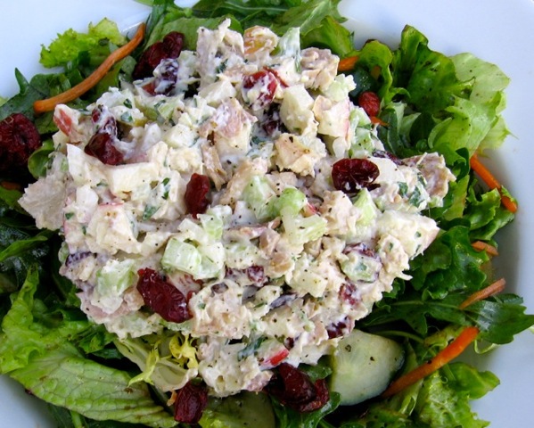 Healthy Chicken Salad with Apples and Cranberries bed of greens from above