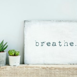 White Breathe Sign on Mantle beside Cactus Plants