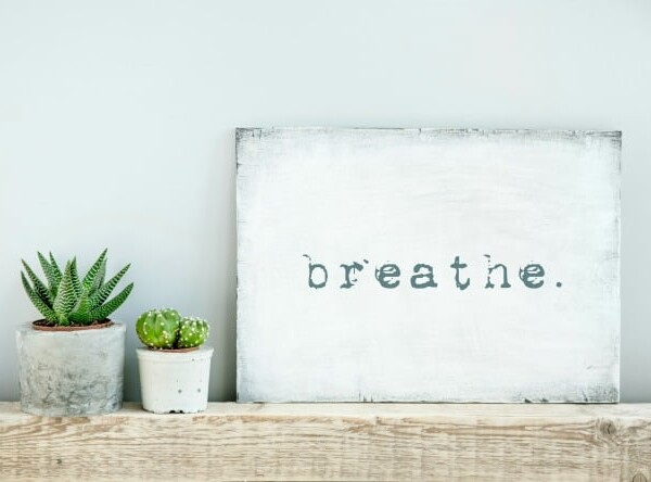 White Breathe Sign on Mantle beside Cactus Plants