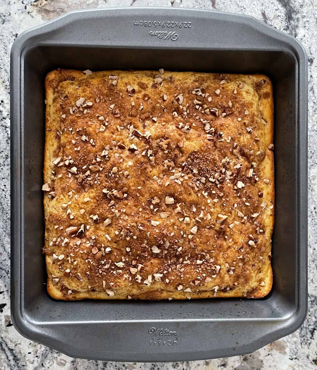 Fresh baked cinnamon streusel coffee cake in a square baking pan.