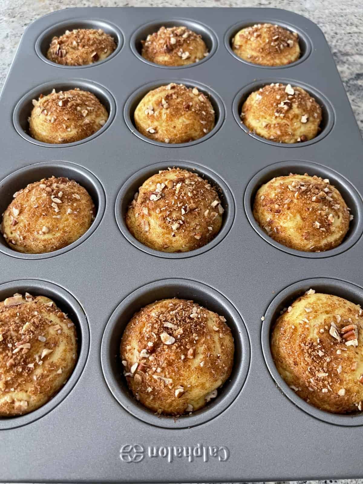 Fresh baked cinnamon streusel muffins in standard muffin tin.