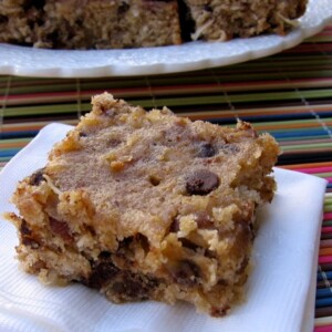 Skinny Banana Coconut Chocolate Chip Bars
