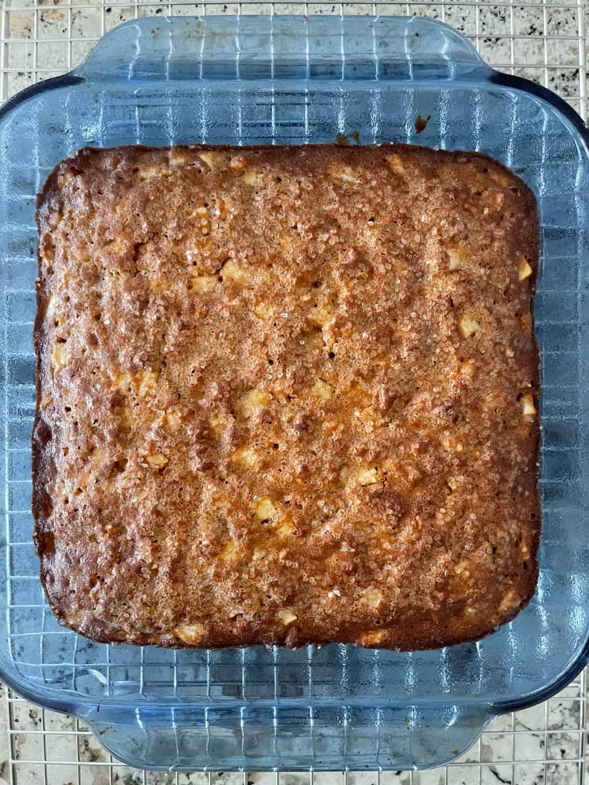 Fresh uncut baked apple brownie nut bars in blue baking dish cooling on a wire rack.