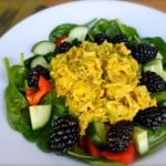 Skinny Curried Chicken Salad - 4 Weight Watchers SmartPoints