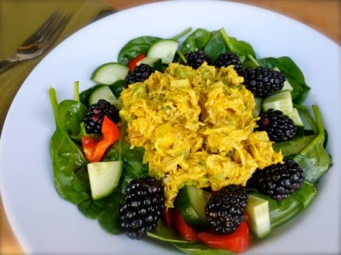 Curried Chicken Salad on spinach with cucumber, red bell pepper and blackberries.