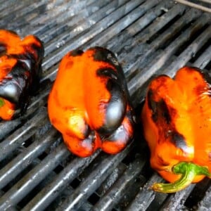 Grilled Vegetable Recipes
