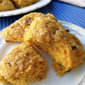 Weight Watchers Low Fat Cranberry-Pumpkin Scones