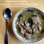 Slow Cooker Pork and White Beans Stew in a bowl with spoon alongside