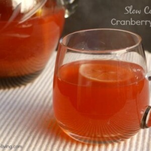 Slow Cooker Cranberry Punch