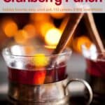 Slow cooker cranberry punch with cinnamon stick in glass mug with tin base.