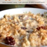 Slow cooker eggnog oatmeal with dried cranberries sprinkled with ground nutmeg.