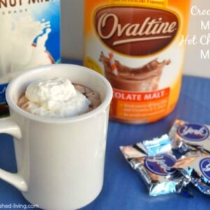 Crock Pot Mint Hot Chocolate