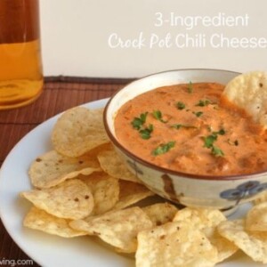 3-Ingredient Crock Pot Chili Cheese Dip - 1 Weight Watchers SmartPoint