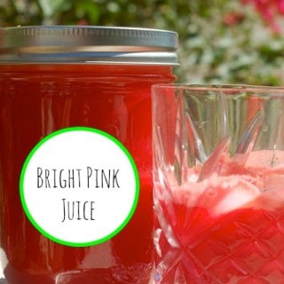 Bright Pink Juice