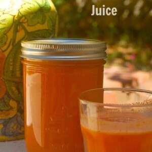Spiced Autumn Harvest Juice