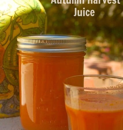 Spiced Autumn Harvest Juice