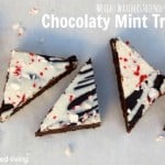 Weight Watchers Chocolate Mint Bars triangle arranged on white board from above