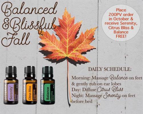How to Purchase Wholesale Essential Oils In The Most Cost ...