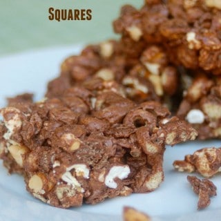 weight watchers no bake chocolate peanut butter squares