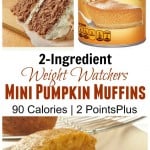 2 ingredient weight watchers pumpkin muffins