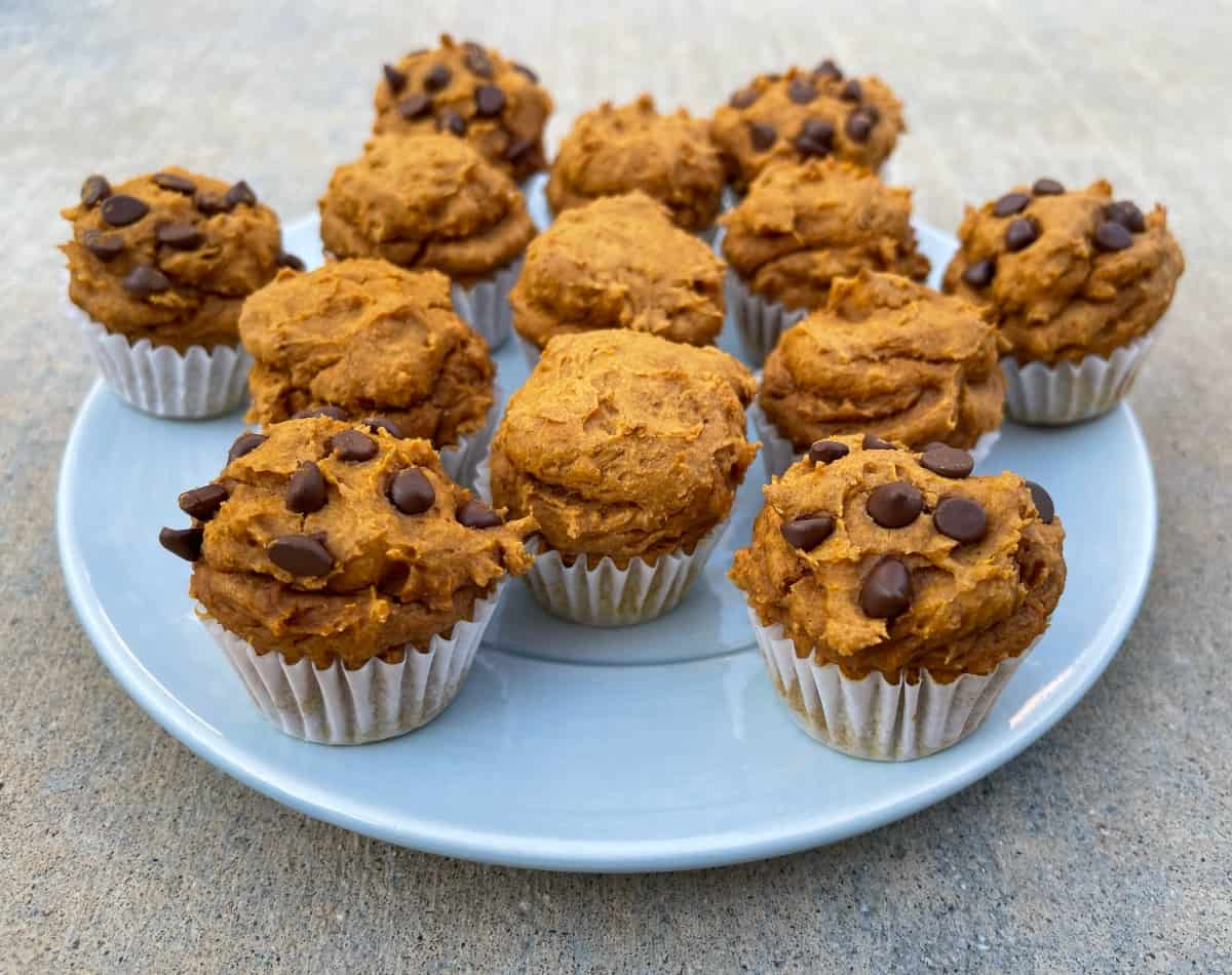 Assorted plain and chocolate chip pumpkin spice cake mix mini muffins on small blue platter.