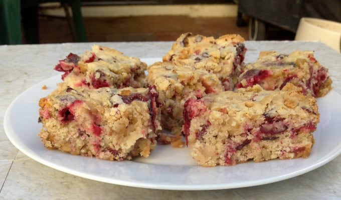 Low fat cranberry bars on white plate.