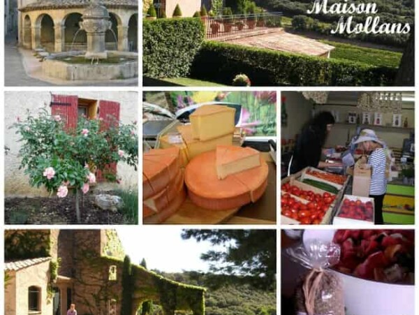 Savoring Provence Maison Mollans Culinary Tour