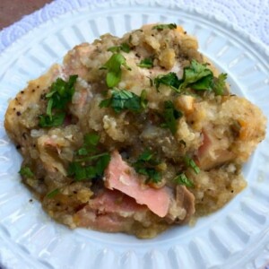 skinny slow cooker apricot salsa salmon weight watchers points