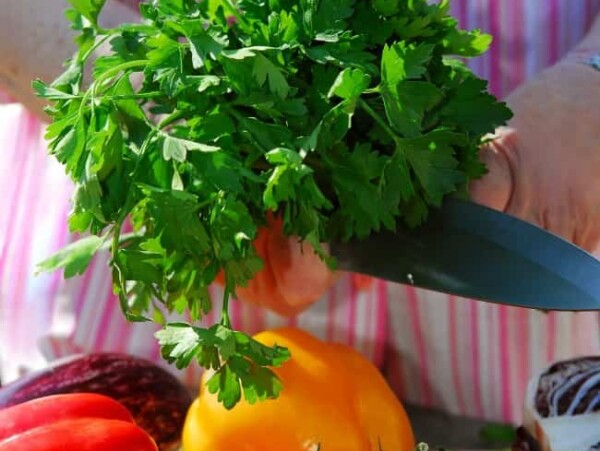 101 Meal Prep Ideas for Weight Watchers