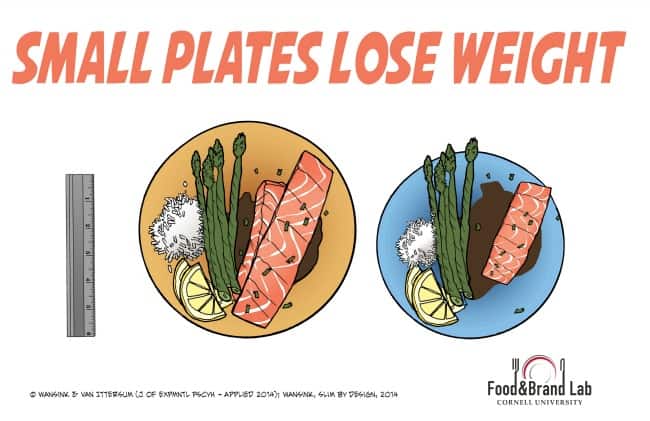Small plates make you lose weight