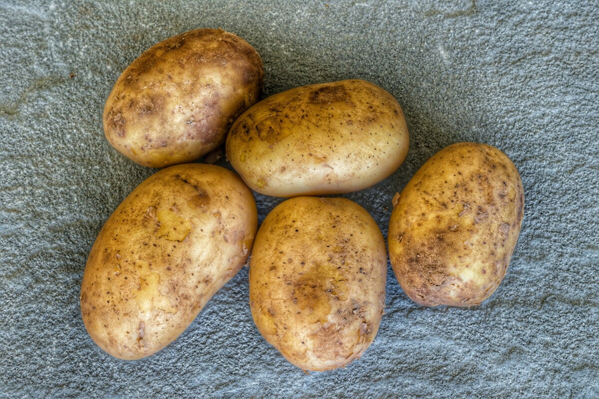 5 Raw Baking Potatoes on Slate Counter from Above