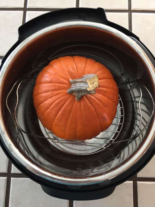 Pie Pumpkin on rack inside Instantpot