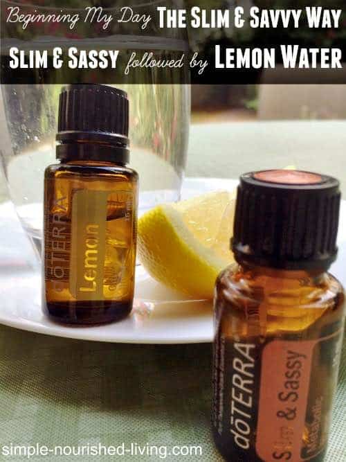 Slim & Sassy Essential Oil Metabolic Blend