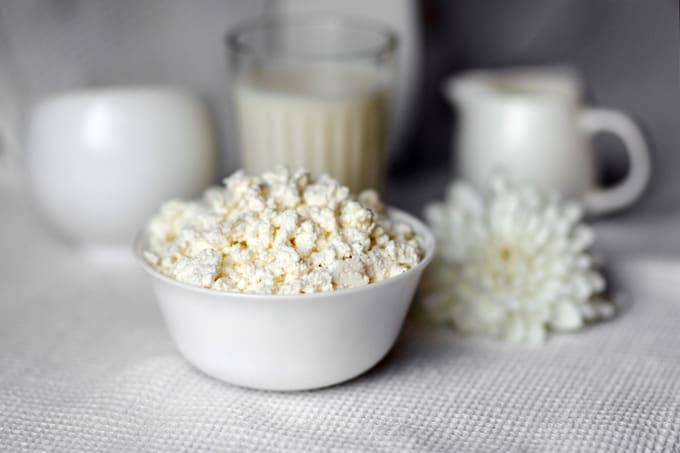 homemade cottage cheese in a white bowl with milk pitcher in background