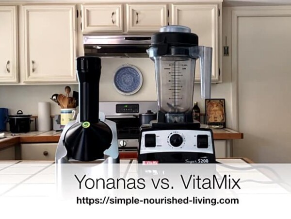 Yonanas vs VitaMix - Frozen Dessert Maker Review
