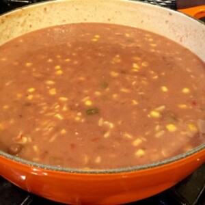 Reader's Favorite WW Friendly Soup