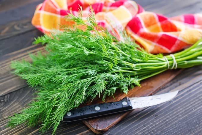 Fresh dill on wood cutting board with knife and colorful towel in the background.