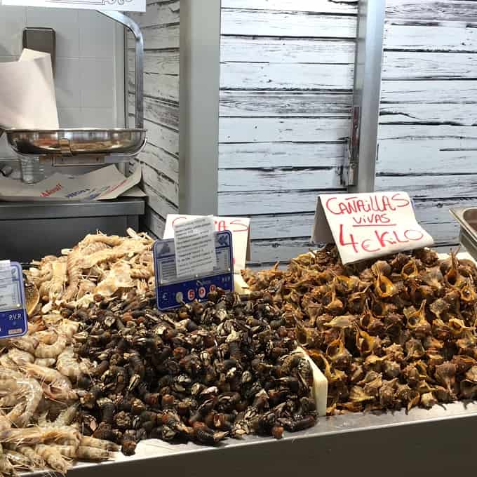 Seafood market in Rota, Spain, with fresh shrimp and cañailles (mollusks).
