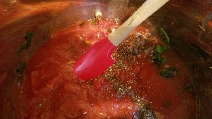 Stirring salt and pepper into cabbage roll soup.