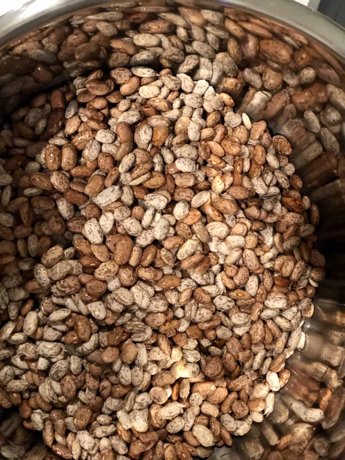 Uncooked pinto beans in InstantPot electric pressure cooker