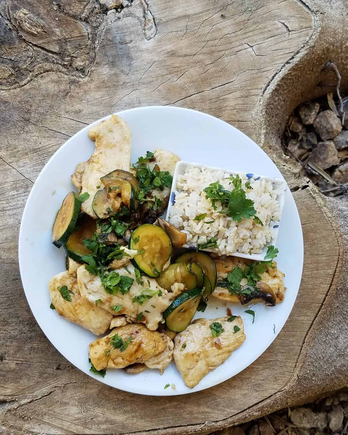 Stir-fried chicken, mushrooms and zucchini with side of rice.